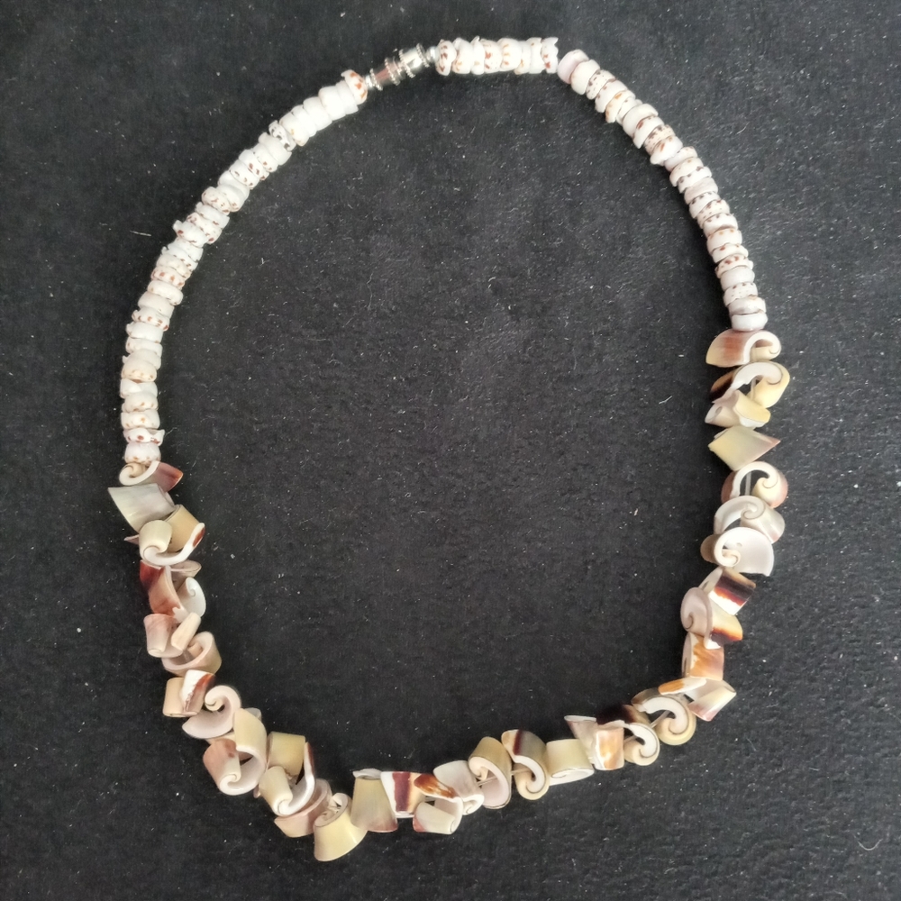 Sea Shell Type Necklace